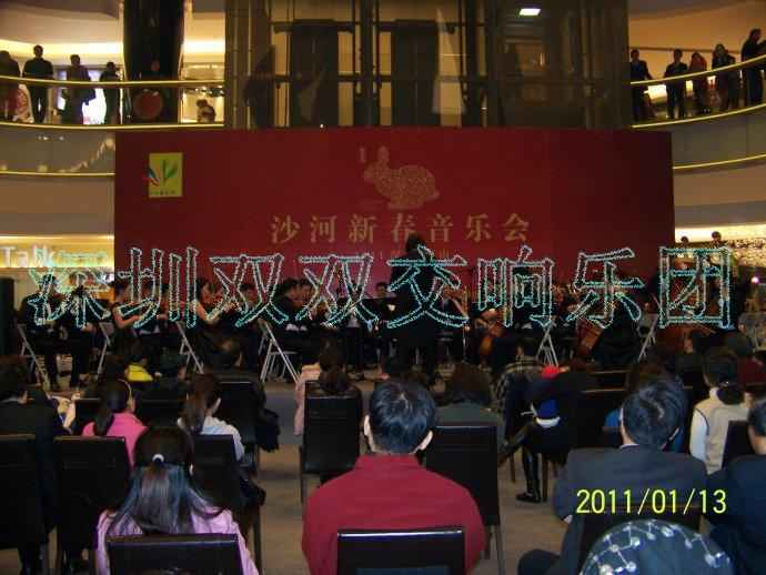 2011新年音乐会
